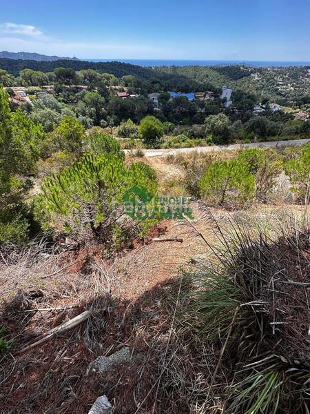 Foto 4987e196-831b-48d9-ab2f-2313a4cb44e4. Residential plot in Lloret Residencial - Montlloret Lloret de Mar