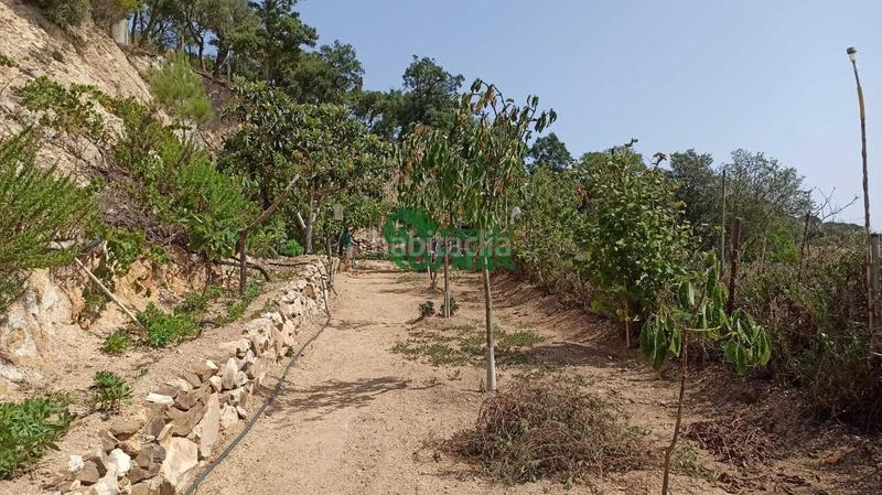 Foto 3a00e4eb-7460-4bed-a4a5-818b85d35340. Haus in Aiguaviva Parc Vidreres