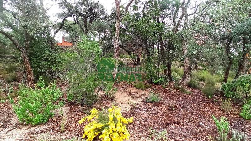 Foto 22b7121a-2d60-40f1-bc02-c3a54a3a3fae. Terreno residenziale in Aiguaviva Parc Vidreres