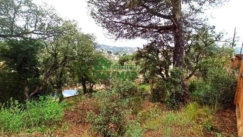 Foto 72b4d1b3-6632-468b-9fa0-fdd8e05a7baa. Terreno residenziale in Aiguaviva Parc Vidreres