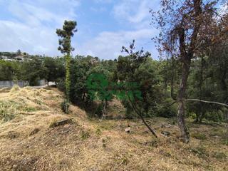 Terreny residencial a Lloret Blau - La Creu de Lloret. Lote de 10 parcelas en lloret blau, oportunidad de inversión