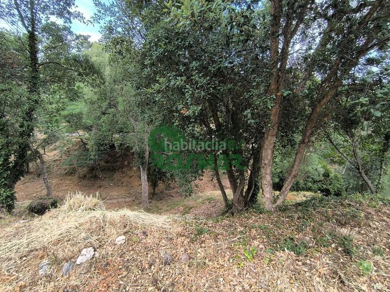 Foto 50ca825e-1d1b-4d1c-af39-2ac2663ccbc5. Terrain résidentiel dans Lloret Blau - La Creu de Lloret Lloret de Mar