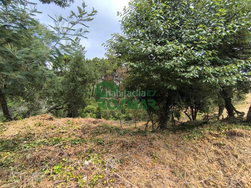 Foto 8cf7960f-0ca7-4d33-a1dc-3e918e8616e1. Terrain résidentiel dans Lloret Blau - La Creu de Lloret Lloret de Mar