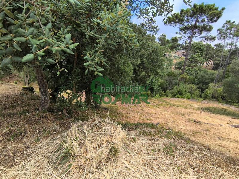 Foto c317c497-561d-4d28-96a2-d90bc2545bc5. Terrain résidentiel dans Lloret Blau - La Creu de Lloret Lloret de Mar