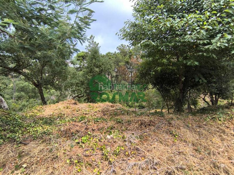 Foto c3fbd00d-b8af-4de7-b427-6ab02652ee77. Terrain résidentiel dans Lloret Blau - La Creu de Lloret Lloret de Mar