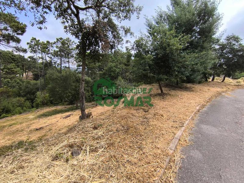 Foto c45af0b8-f08d-40ee-8132-9605ba3c450b. Terrain résidentiel dans Lloret Blau - La Creu de Lloret Lloret de Mar