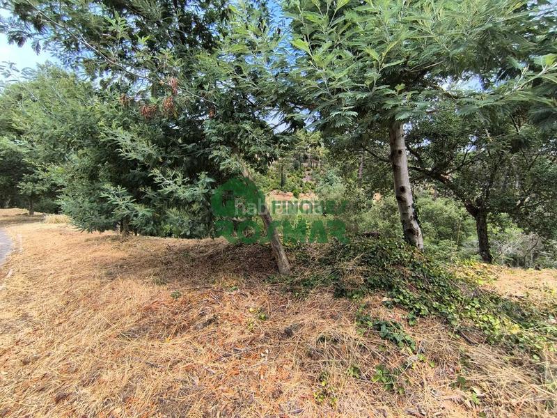 Foto e077c78d-c02b-4109-b2ff-5e3861653ee9. Terrain résidentiel dans Lloret Blau - La Creu de Lloret Lloret de Mar