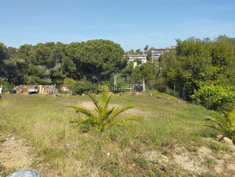 Foto 07c5e15a-6a7c-4562-b5f0-e96e60f55cb7. Terreno residenziale in Roca Grossa Lloret de Mar