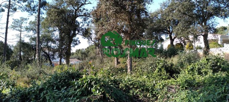 Foto 8a1ab9dd-0ec5-46c5-b58d-d8471e62d92e. Finca rústica a Lloret Residencial - Montlloret Lloret de Mar