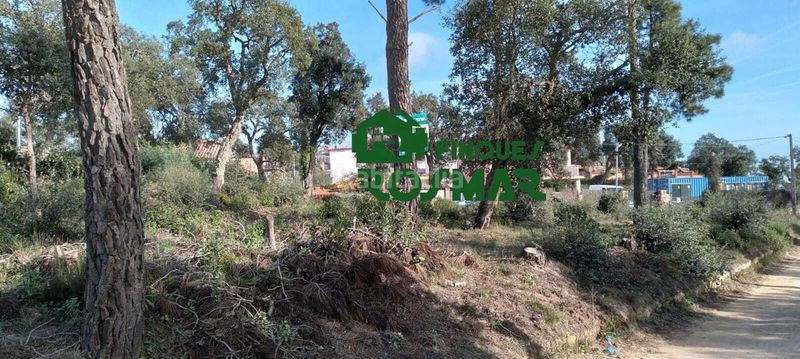 Foto c008e4a5-476f-4814-a419-b81e38d0f52d. Finca rústica a Lloret Residencial - Montlloret Lloret de Mar