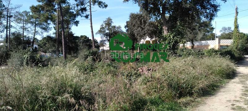 Foto e683109f-ddae-42b8-8edb-293dd205b0d7. Finca rústica a Lloret Residencial - Montlloret Lloret de Mar