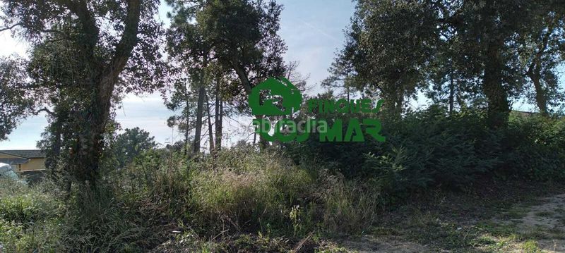 Foto e7e293b9-6185-4840-86a6-96e9cb3ffa61. Finca rústica a Lloret Residencial - Montlloret Lloret de Mar