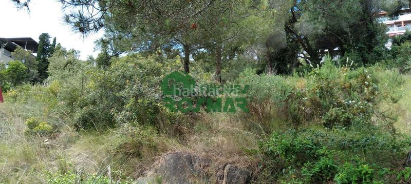 Foto 5d156ed6-7fb3-40a7-84d4-2774a7c43eda. Terreny residencial a Mas Baell-Can Carbó Lloret de Mar