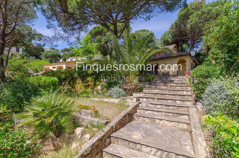 Foto aeb95257-2964-4ad6-8834-854f384287e5. Casa a Serra Brava Lloret de Mar