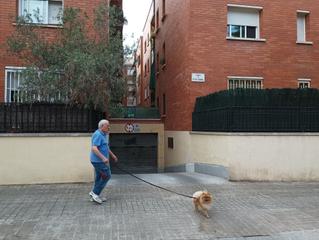 Aparcament cotxe a Carrer de feliu i codina 71