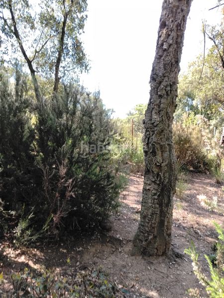 Foto b71cc265-ad99-4676-81ff-75f143ba22f9. Terreno residencial en Sant Celoni