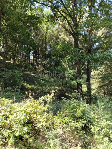 Foto c1e4b380-c01a-4af2-8429-fe352bb802de. Terreno residencial en Sant Celoni