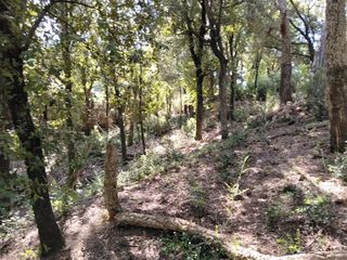 Terreno residenziale  Urbanització boscos montnegre