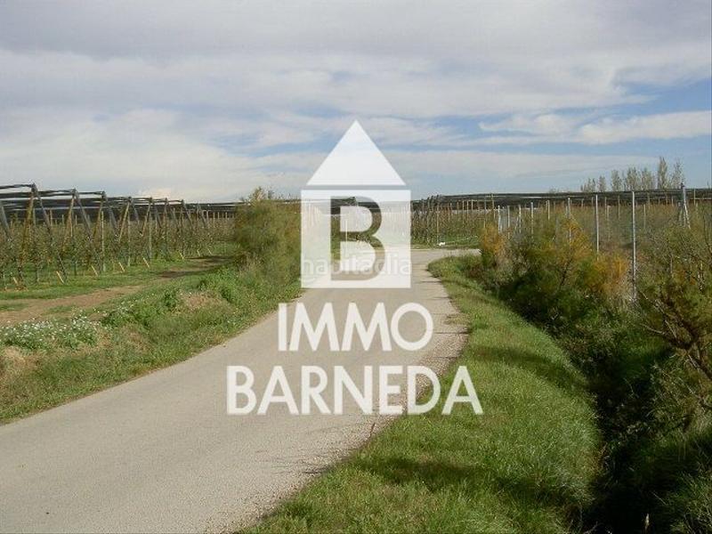 Foto 7971a828-1b18-4b44-84a6-dc278c82394d. Landgut in Sant Pere Pescador