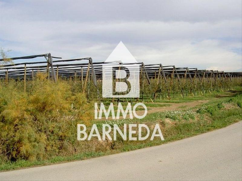 Foto ce78fc60-d5f6-4c9e-a6da-dc145b390215. Landgut in Sant Pere Pescador