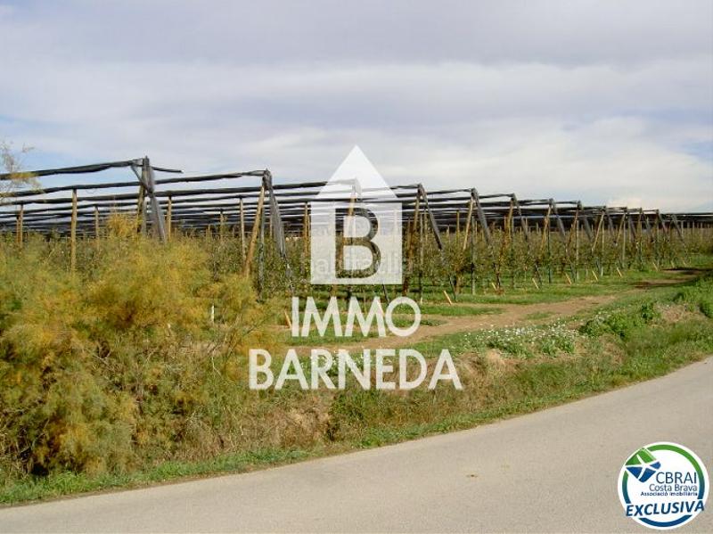 Foto eb13634b-c1ef-47d6-8902-3633a79801f0. Landgut in Sant Pere Pescador