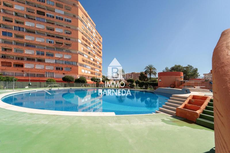 Foto 4e468c0a-fef1-40a1-b01f-cd7aa8e1a754. Pis a del cap ponent 11 a Santa Margarida Roses