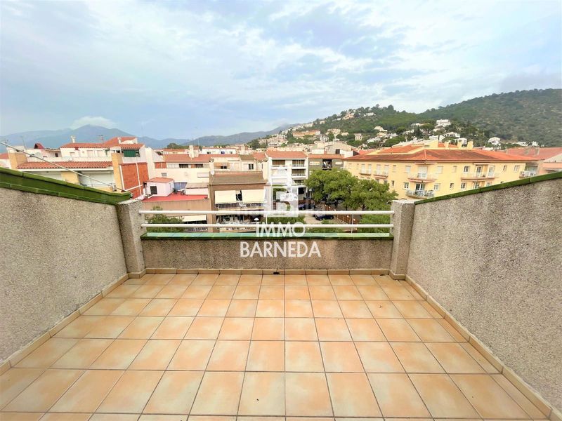 Foto cdb7c6e1-de2b-40cc-a77c-32382d5ecc33. Pis a Centre Roses