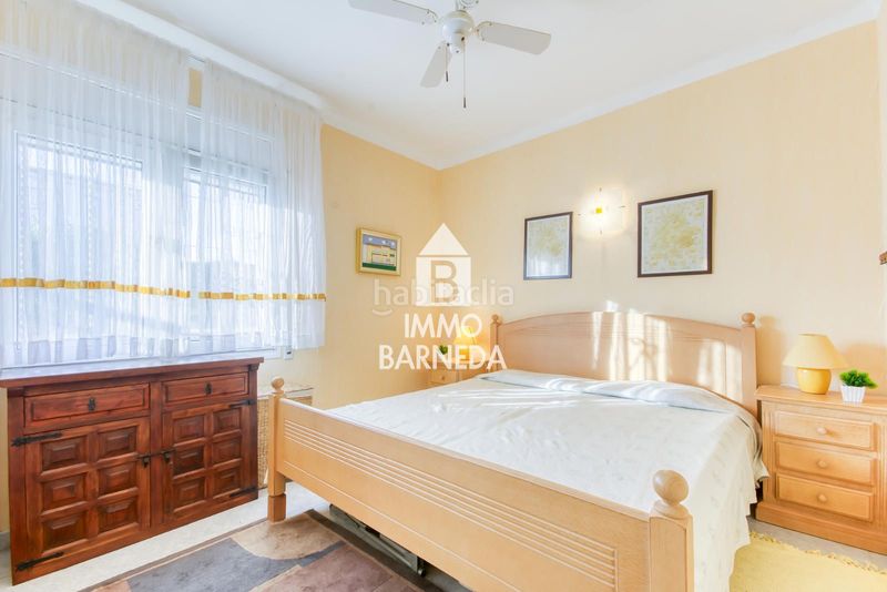 Foto 73e5adb9-8a61-49c4-b9ea-fa7beae112d4. Pis a faig 12 a Nord Roses