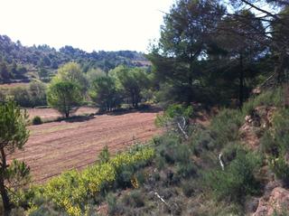 Solar industrial  Carrer granera. Ideal camping