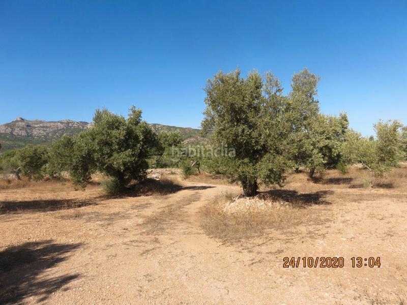 Foto 7586727e-4c5b-4196-a578-7aa5a007d974. Finca rústica en Xerta