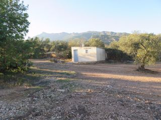Terreny residencial en Xerta. Con casa de campo
