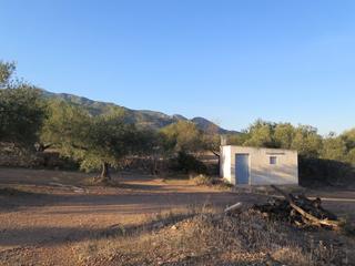 Residential Plot in Xerta. Con casa de campo