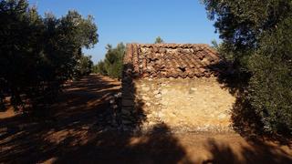 Propriété à Camí miliana 1