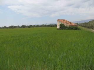 Finca rústica a Camí miliana 1. Con casa y con agua, luz cerca