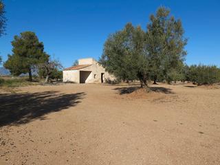Rural plot  Carrer 2 vila. llarga
