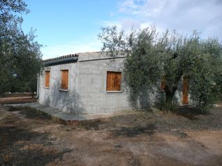 Terreno residenziale  Carretera la miliana. Con olivos milenarios