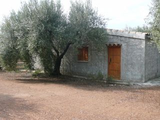 Fondo rustico  Carrer cardenal goma. Con olivos milenarios