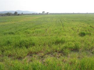 Landgut in Godall
