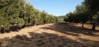 Finca rústica a Godall