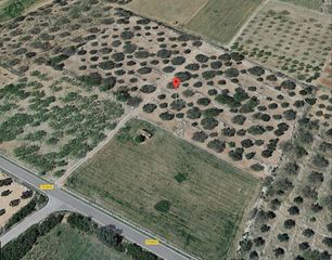 Terreny residencial a Camí Miliana 8