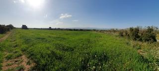 Fondo rustico in Godall