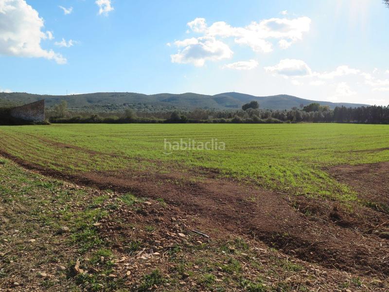 Foto c8a672f1-73b7-417a-88ec-99d3748e5c13. Propriété dans Godall