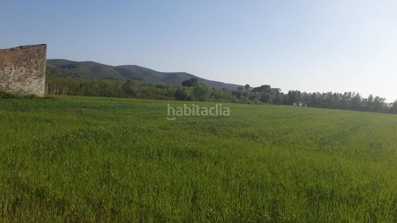 Foto f3342e3d-ade1-4e24-87dc-d1bdd4df5615. Propriété dans Godall