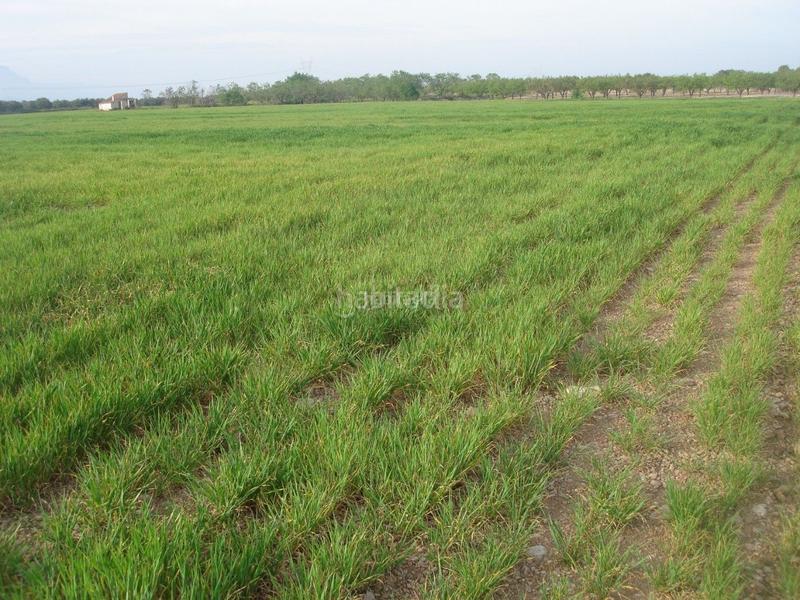 Foto 01d3f29d-e4e8-4e3e-93c1-75618f84cf43. Finca rústica a Godall