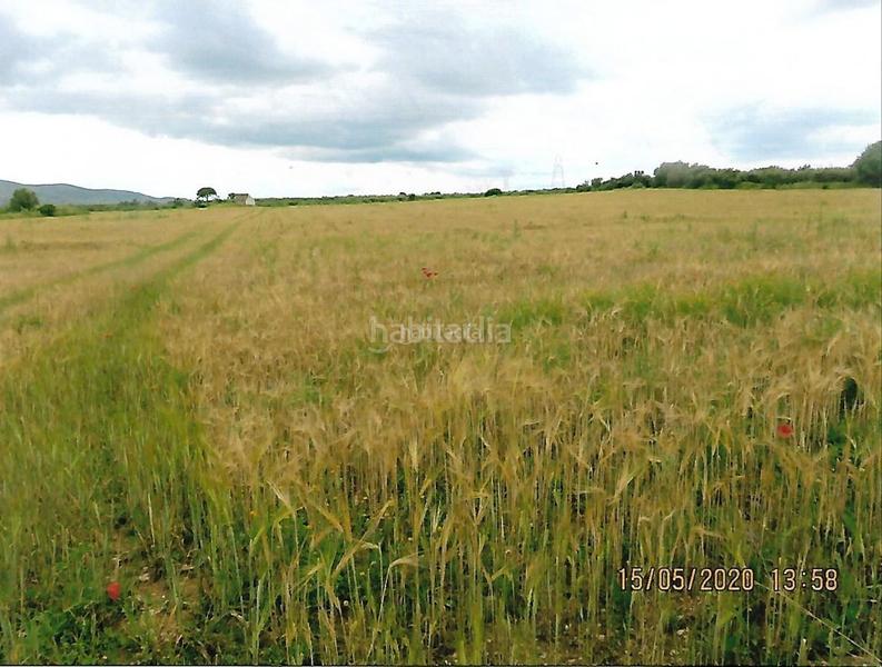 Foto 2f44f6e4-44a3-408b-abd5-b8df1bd4e713. Finca rústica a Godall
