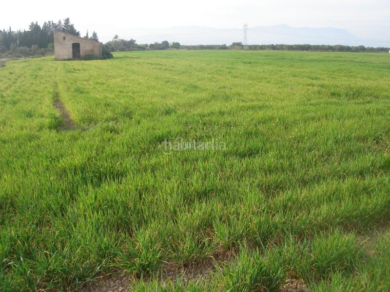 Foto a2557921-3e2a-47e7-aad7-1c2359ec66b4. Finca rústica a Godall