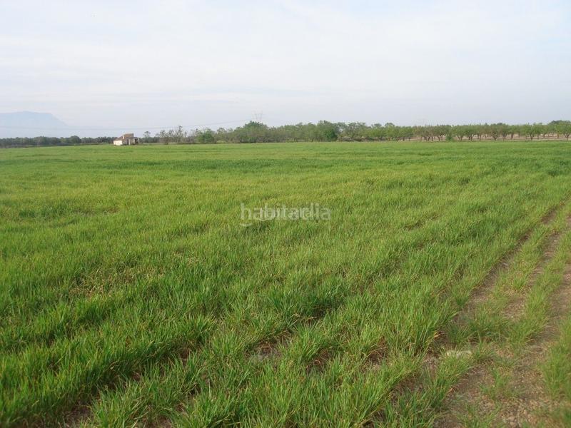 Foto a8e15657-7ece-4cc4-8771-aa8796f4c663. Finca rústica a Godall