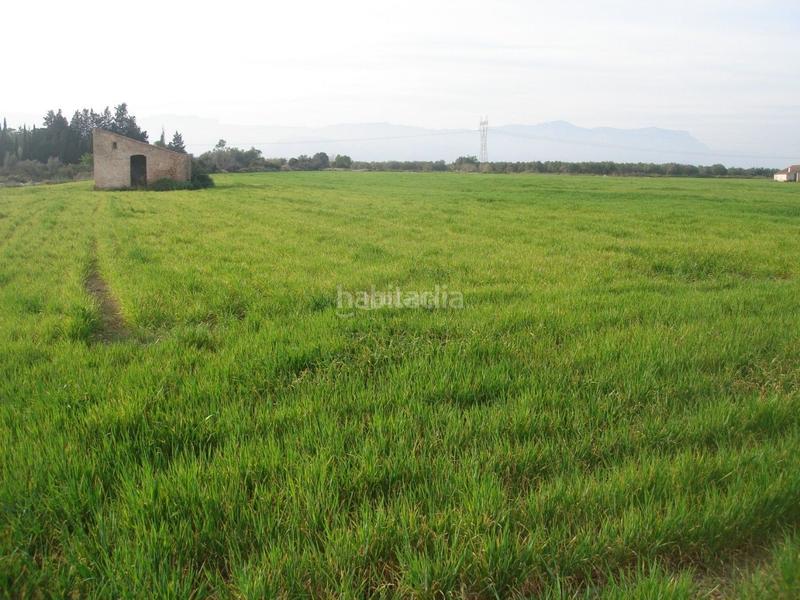 Foto e1e26bb1-fe8c-4414-a2e8-6117f0095c87. Finca rústica a Godall