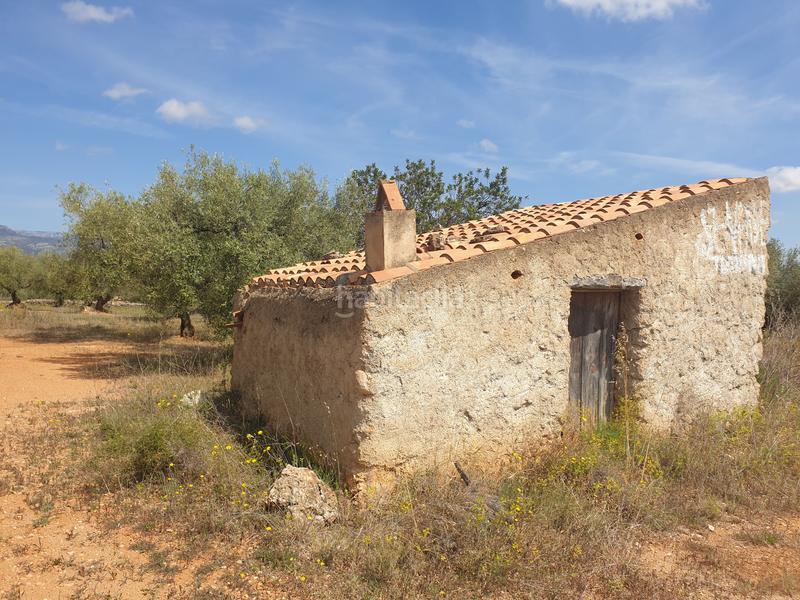 Foto 28e7602b-7a2c-4efc-885f-07acc4fc22cc. Propriété dans Sénia (La)