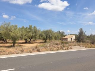 Finca rústica  Carrer valència